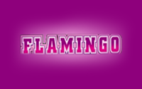 Flamingo Club Casino